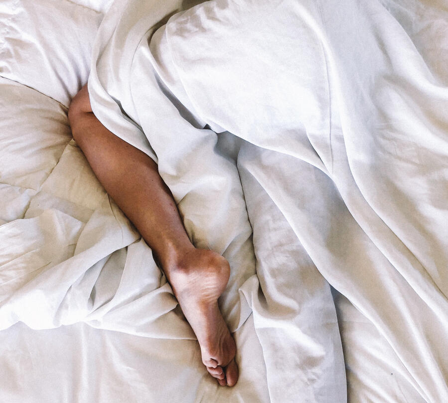 bed bug pest control edmonton